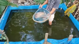 Ide Usaha Sampingan Menjanjikan: Panduan Lengkap Untuk 2026