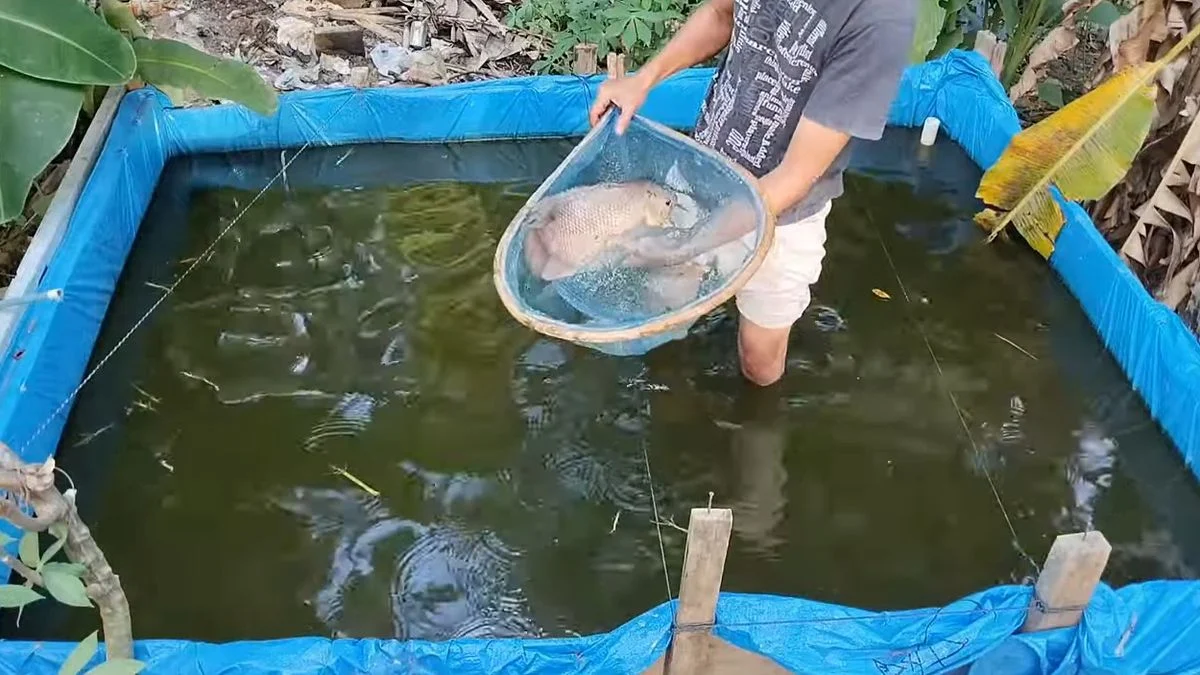 Ide Usaha Sampingan Menjanjikan: Panduan Lengkap Untuk 2026