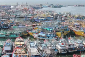 Lonjakan Harga BBM Nelayan Bakal Tekan Cuan Perikanan