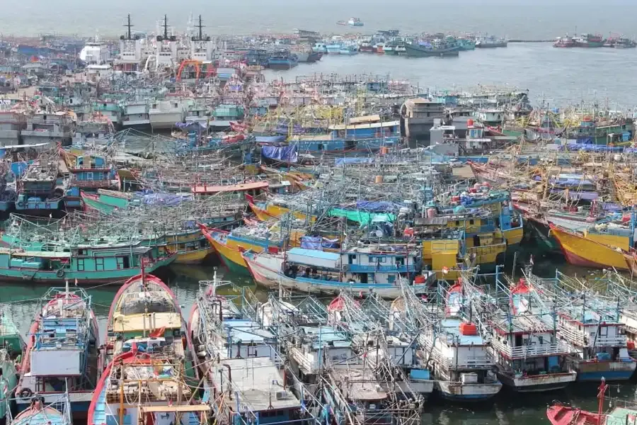 Lonjakan Harga BBM Nelayan Bakal Tekan Cuan Perikanan