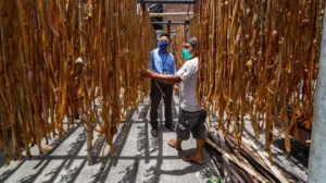 Pemberdayaan BRI Dorong Desa Sumberejo Jadi Motor Ekonomi Baru