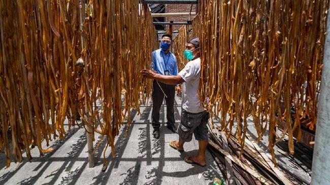 Pemberdayaan BRI Dorong Desa Sumberejo Jadi Motor Ekonomi Baru