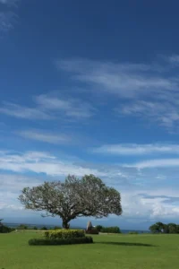 Penataan Peninsula Island Nusa Dua Pacu Kualitas Pariwisata Premium 2026