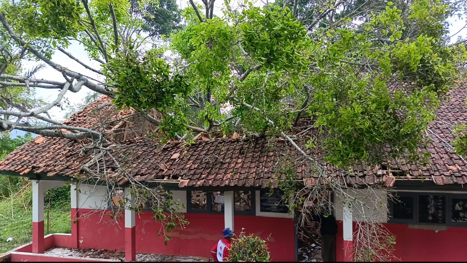 Pohon Tumbang Timpa SDN Cianjur: 6 Siswa Jadi Korban