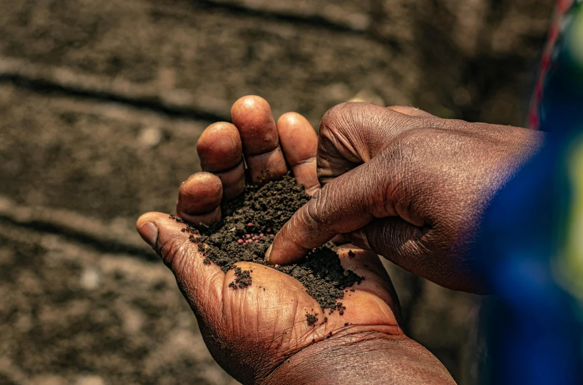 Sembelih Dam di Tanah Air: Panduan Resmi Muhammadiyah 2026