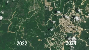 Your Name in Landsat: Cara Seru Buat Nama dari Satelit NASA